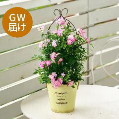 �yGW���͂��z��o���u�o���[���^�g�����X�v�C�G���[�n�y��̓��M�t�g�z