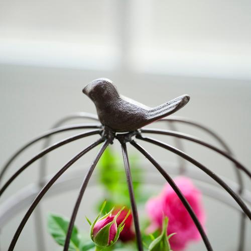 �yGW���͂��z�~�j�o���u���[�Y�o�[�h�Q�[�W�v�y��̓��M�t�g�z2