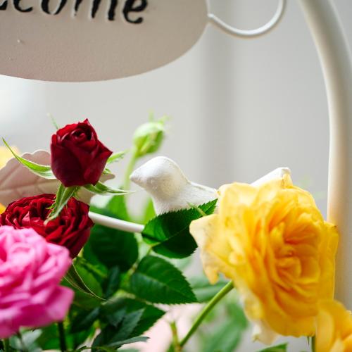 �y��̓��M�t�g�z�~�j�o���u�����h���E�F���J���|�[�`�v���F�I�����W�n5