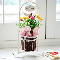 �y��̓��M�t�g�z�~�j�o���u�����h���E�F���J���|�[�`�v���F�I�����W�n