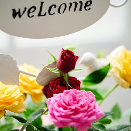 �yGW���͂��z�~�j�o���u�����h���E�F���J���|�[�`�v���F�I�����W�n�y��̓��M�t�g�z2