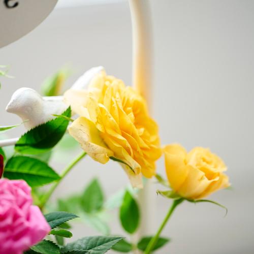 �yGW���͂��z�~�j�o���u�����h���E�F���J���|�[�`�v���F�I�����W�n�y��̓��M�t�g�z6