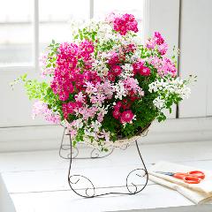 �y��̓��M�t�g�z�~�j�o���u�E�F���J�����[�Y���[�X�v