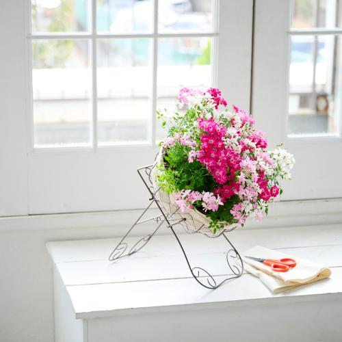 �yGW���͂��z�~�j�o���u�E�F���J�����[�Y���[�X�v�y��̓��M�t�g�z2