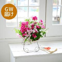 �yGW���͂��z�~�j�o���u�E�F���J�����[�Y���[�X�v�y��̓��M�t�g�z