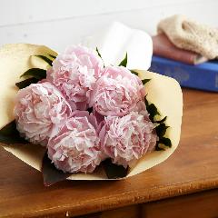 䉖�i�V���N���N�j�̃u�[�P�y��̓��M�t�g�z