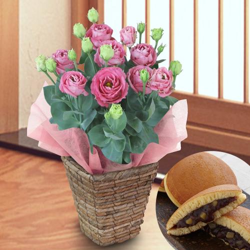 �������u�I����݂����v�ƃg���R�L�L���E�u�}�L�A�[�W���v�y2026�I�[�^���M�t�g�z