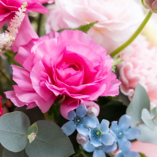 ���i���L�����X����ꂽ�s���N�n���܂����A�����W�`�t����`3