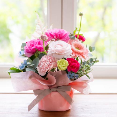 ���i���L�����X����ꂽ�s���N�n���܂����A�����W�`�t����`4