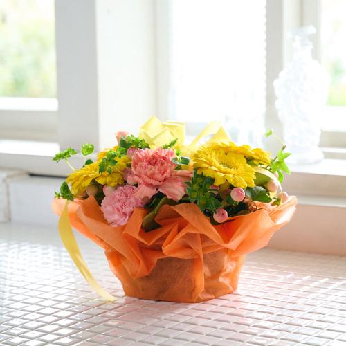 �r�^�~���J���[�A�����W�����g�u�K�[�x�����J�[�l�[�V�����v4