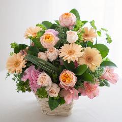 �o���ƃK�[�x���̍K���A�����W�����g