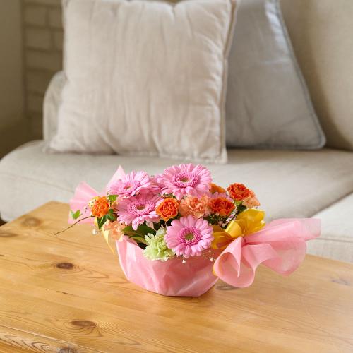 �L�����f�B�A�����W�����g�u�s���N�n�v2