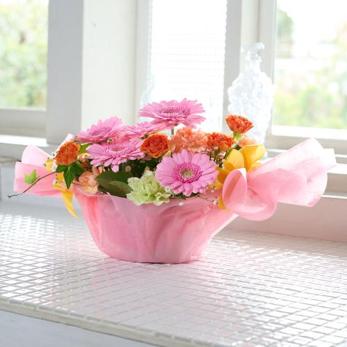 �L�����f�B�A�����W�����g�u�s���N�n�v3