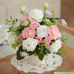 �L���[�g�Ȕ��ƃs���N�̃p�X�e���A�����W�����g