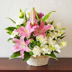 �I���G���^�������[�ƃf���t�@���̂����݃A�����W�����g