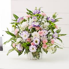 �g���R�M�L���E�̂����݃A�����W�����g