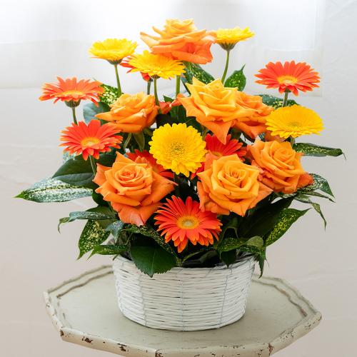 6 000円からの商品一覧 誕生日に贈る花 花の贈り物 プレゼント フラワーギフトの通販 フジテレビフラワーネット