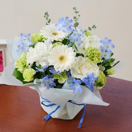 �y�b�g�̂�����݁@���܂����A�����W�����g�u�u���[���z���C�g�v4,400�~