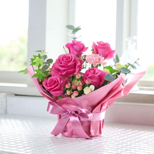 �s���N�o�����ꂽ�s���N�n���܂����A�����W2