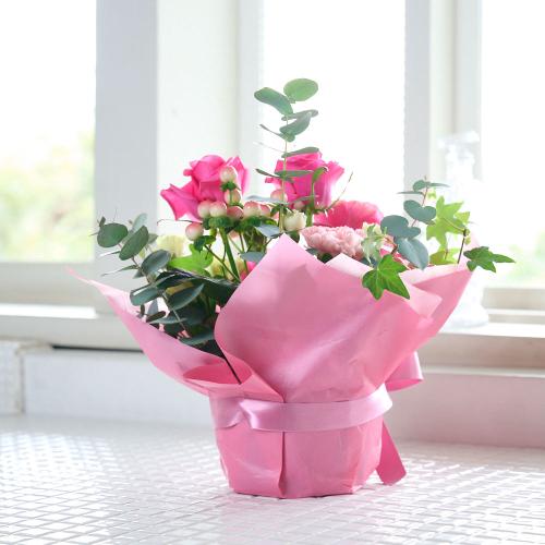 �s���N�o�����ꂽ�s���N�n���܂����A�����W3