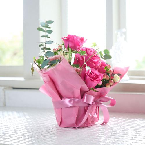 �s���N�o�����ꂽ�s���N�n���܂����A�����W4