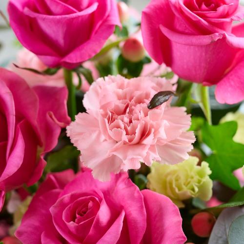 �s���N�o�����ꂽ�s���N�n���܂����A�����W7