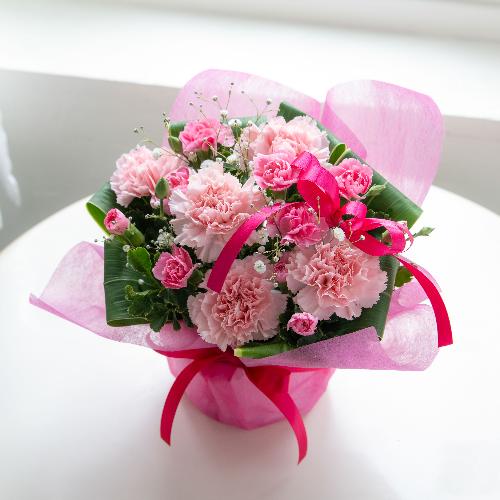 �y��̓��M�t�g�z�T���N�X�}�}2026�u���肪�Ƃ��̋C�����v�y�[���s���N�n