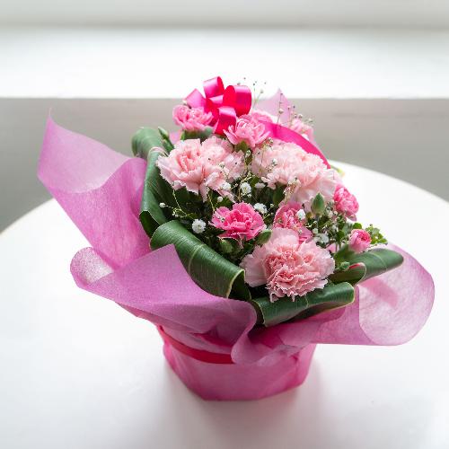 �y��̓��M�t�g�z�T���N�X�}�}2026�u���肪�Ƃ��̋C�����v�y�[���s���N�n4