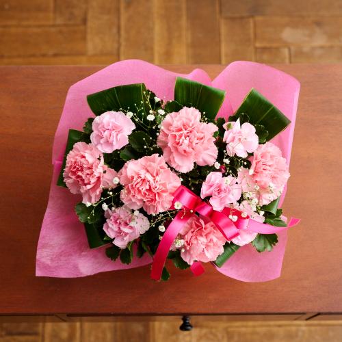 �y��̓��M�t�g�z�T���N�X�}�}2026�u���肪�Ƃ��̋C�����v�y�[���s���N�n5