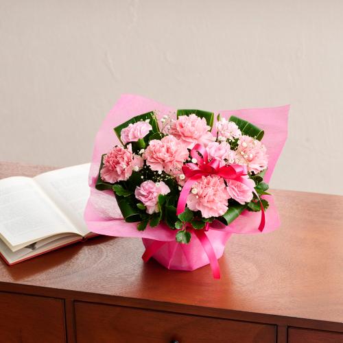 �y��̓��M�t�g�z�T���N�X�}�}2026�u���肪�Ƃ��̋C�����v�y�[���s���N�n7