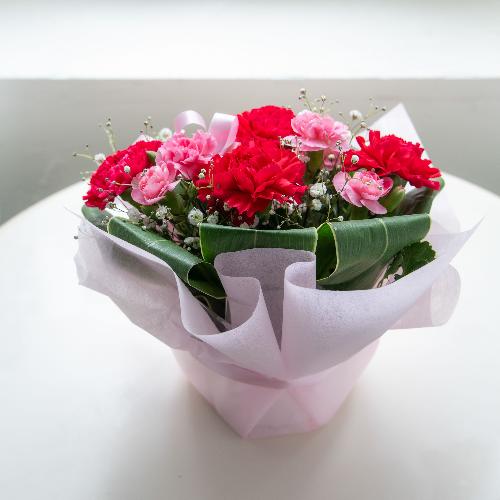 �y��̓��M�t�g�z�T���N�X�}�}2026�u���肪�Ƃ��̋C�����v���[�Y�s���N�n3