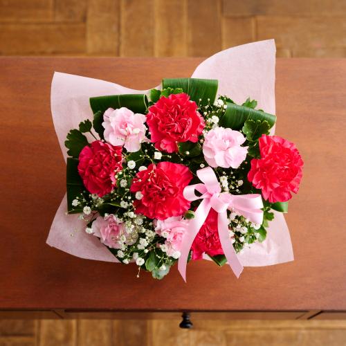 �y��̓��M�t�g�z�T���N�X�}�}2026�u���肪�Ƃ��̋C�����v���[�Y�s���N�n5