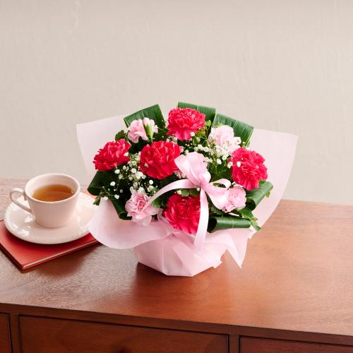 �y��̓��M�t�g�z�T���N�X�}�}2026�u���肪�Ƃ��̋C�����v���[�Y�s���N�n7