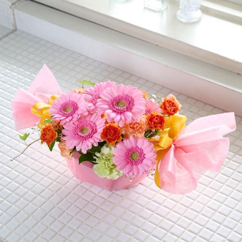 �y�b�g�̂�����݁@�L�����f�B�A�����W�����g