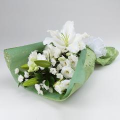 �������ԑ��@�z���C�g