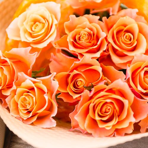 元気がでるオレンジのバラの花束2