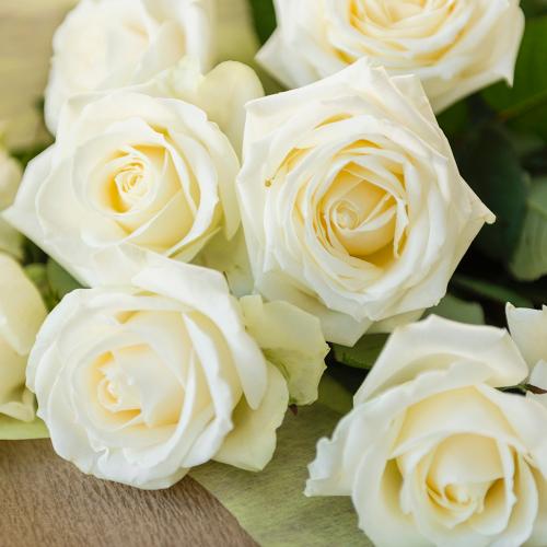 白（ホワイト）バラのシックな花束2