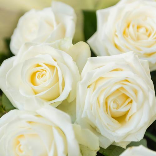 白（ホワイト）バラのシックな花束3