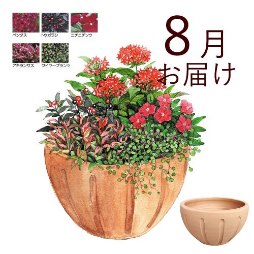 春から始めるお花の定期便】寄せ植えガーデンコース（2025年4月