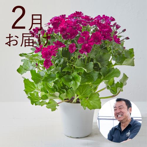 yHn߂邨Ԃ̒ցzԂ薼lR[Xi2025N10`2026N3j5