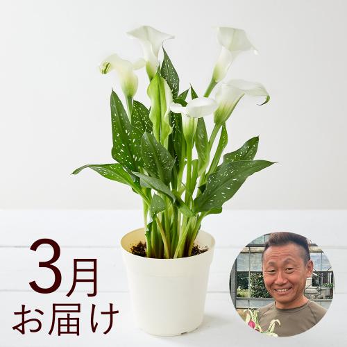 yHn߂邨Ԃ̒ցzԂ薼lR[Xi2025N10`2026N3j6
