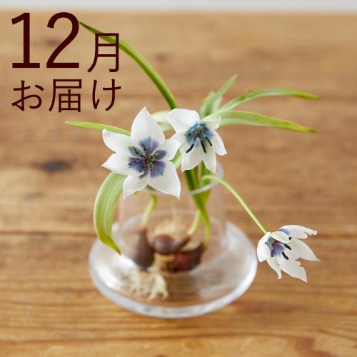 yHn߂邨Ԃ̒ցzout[ijR[Xi2025N10`2026N3j3