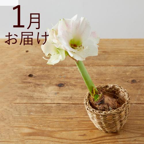 yHn߂邨Ԃ̒ցzout[ijR[Xi2025N10`2026N3j4