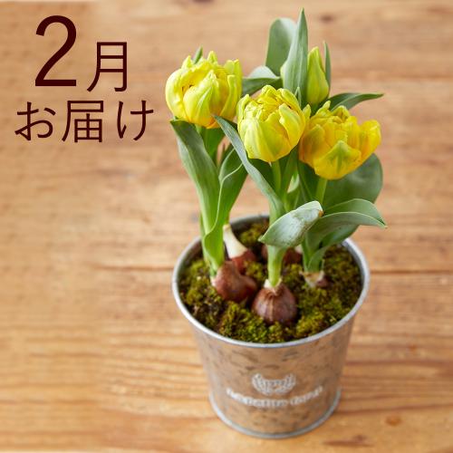yHn߂邨Ԃ̒ցzout[ijR[Xi2025N10`2026N3j5