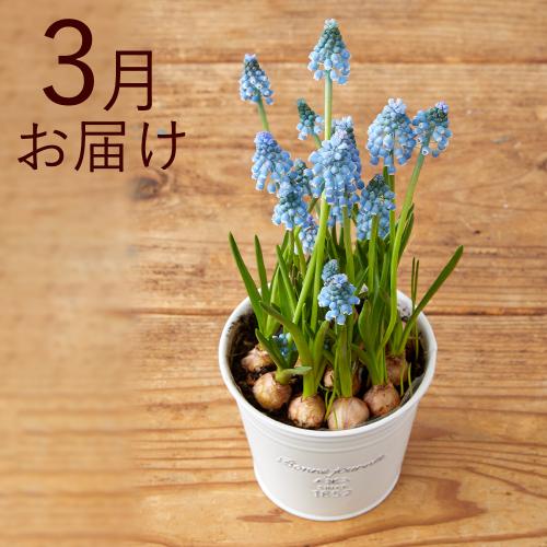 yHn߂邨Ԃ̒ցzout[ijR[Xi2025N10`2026N3j6