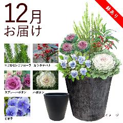 �y�H����n�߂邨�Ԃ̒���ցz�K�[�f�j���O�R�[�X�i������j�R�[�X�i2025�N12���`2026�N3���j