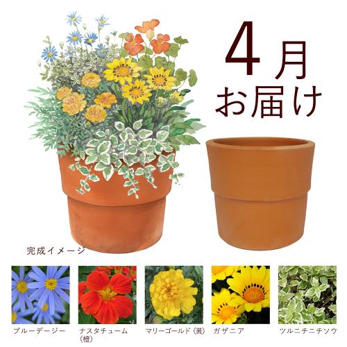 �y�t����n�߂邨�Ԃ̒���ցz�񂹐A���K�[�f���R�[�X�i2026�N4���`2026�N9���j