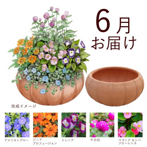 �y�t����n�߂邨�Ԃ̒���ցz�񂹐A���K�[�f���R�[�X�i2026�N4���`2026�N9���j3