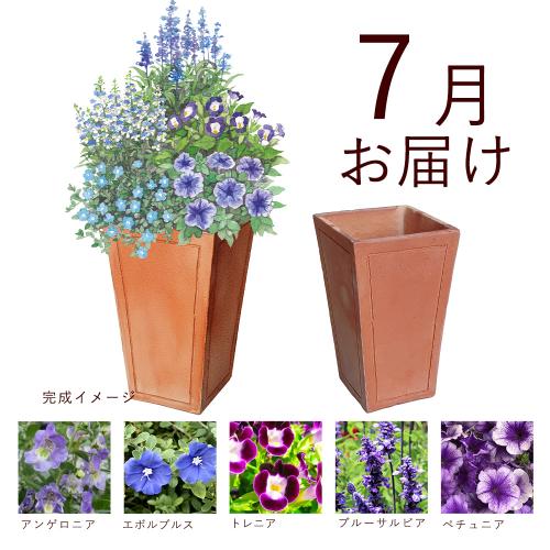 �y�t����n�߂邨�Ԃ̒���ցz�񂹐A���K�[�f���R�[�X�i2026�N4���`2026�N9���j4