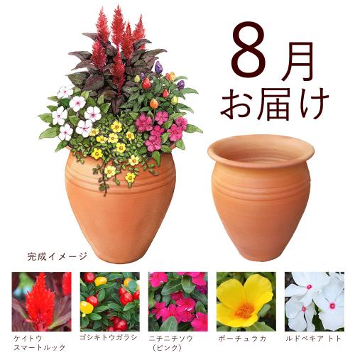 �y�t����n�߂邨�Ԃ̒���ցz�񂹐A���K�[�f���R�[�X�i2026�N4���`2026�N9���j5